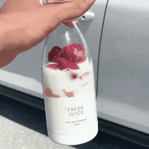 Traveler Portable Mini Juice Blender